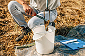 Soil scientist collecting sample from soil probe