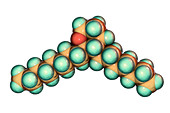 Thromboxane A2, molecular model