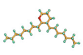 Thromboxane A2, molecular model