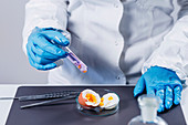 Food safety laboratory