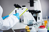 Food safety inspector working in laboratory