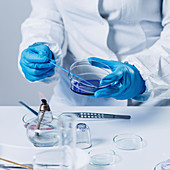 Food safety laboratory