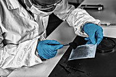 Forensic expert working in forensic science laboratory