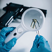Forensics expert examining crime scene evidence