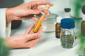 Homeopathic remedy preparation