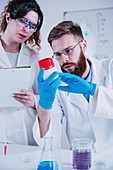 Young scientists working in laboratory