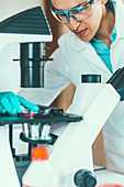 Scientist using light microscope