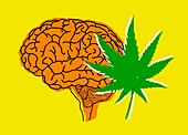 Brain and cannabis, illustration