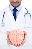 Neurologist holding brain model