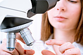 Researcher using microscope