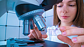 Researcher using microscope