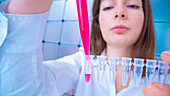 Researcher pipetting sample