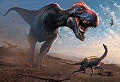 Cretaceous Showdown