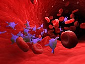 Active blood platelets, illustration