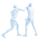 Two men boxing, illustration