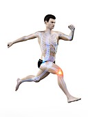 Runner with knee pain, conceptual illustration