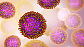 Measles virus, illustration