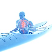 Canoeist's heart, illustration