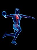 Handball player's heart, illustration