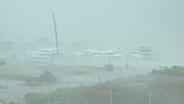 Cyclone Debbie, Australia, 2017