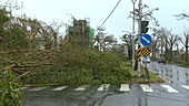 Typhoon Nepartak, Taiwan, 2016