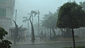 Hurricane Irma, Florida, 2017
