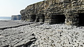 Sedimentation in Jurassic cliffs on Glamorgan coast