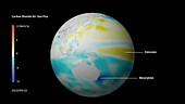 Carbon dioxide exchange in the ocean, animation