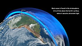 Ozone distribution, animation