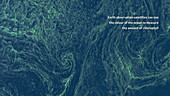 Carbon dioxide exchange in the ocean, animation