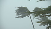 Super typhoon Mangkhut, Philippines, 2018