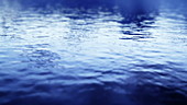 Water ripples animation