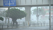 Typhoon Trami, Okinawa, 2018