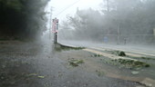 Typhoon Trami, Okinawa, 2018