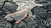 Pahoehoe lava hardening