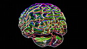 Rotating brain animation