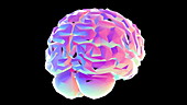 Rotating brain animation