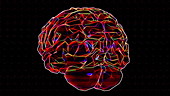 Rotating brain animation