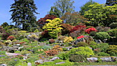 Rockery border