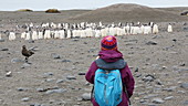 Gentoo penguins and tourists