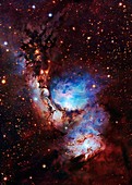 Reflection nebula M78, optical image