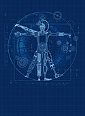 Blueprint for robotic Vitruvian Man, illustration