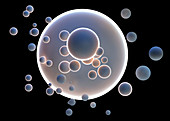 Small bubbles emerging from large sphere, illustration