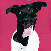 Jack Russell Terrier dog, illustration
