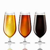Row of lager, bitter and stout beer, illustration