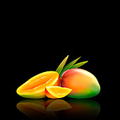 Fresh mangoes, whole, half and slice, illustration