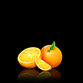 Fresh oranges, whole, half and slice, illustration