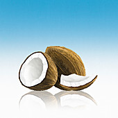 Whole coconut with pieces, illustration