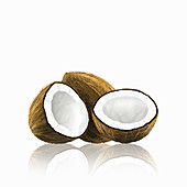 Whole and halved coconut, illustration