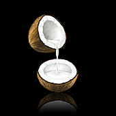 Coconut milk pouring from coconut, illustration